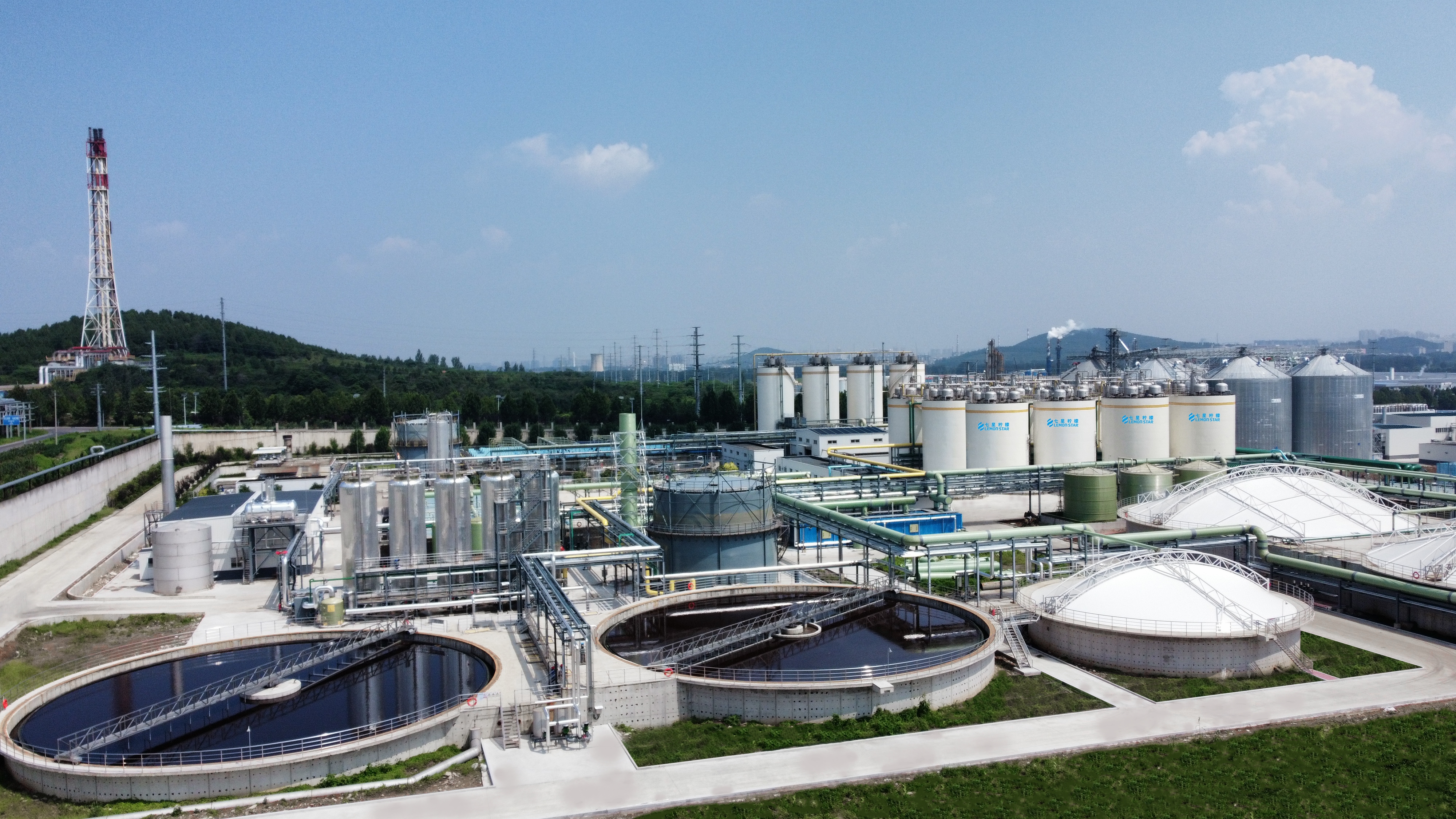 华人策略hrceluebbs