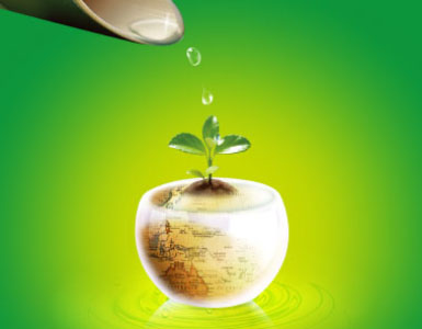 华人策略hrceluebbs